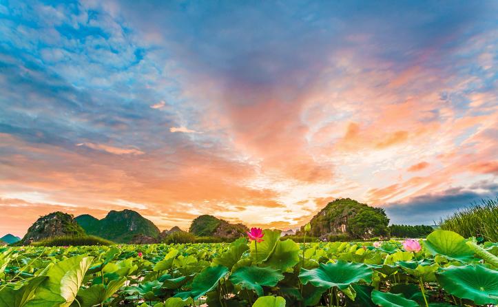 Puzhehei_Lotus_Yunnan_China