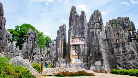 Stone Forest