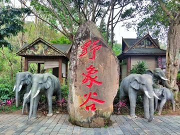 Wild_Elephant_Valley_yunnan_china_01