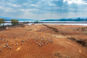 nianhu_lake_yunnan_china_02