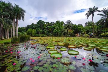 Exploring Yunnan’s 5A-Lever Scenic Spot-Xishuangbanna Tropical Botanical Garden