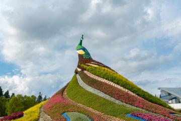 Exploring Yunnan’s 5A-Lever Scenic Spot-Kunming World Horticultural Expo Garden